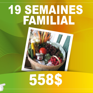 PANIER DE FRUITS ET DE LÉGUMES 19 SEMAINES : familial