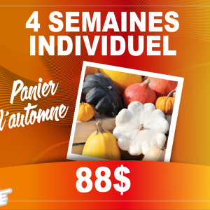 PANIER DE FRUITS ET DE LÉGUMES 4 SEMAINES (automne): individuel