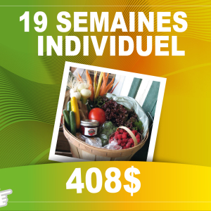 PANIER DE FRUITS ET DE LÉGUMES 19 SEMAINES : individuel